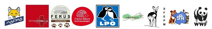 logos associations actions loup